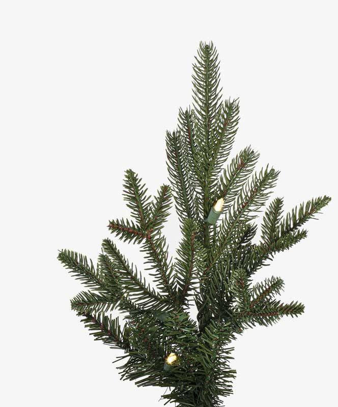 12' Kamas Fraser w/2950 Warm White LED - Image 3
